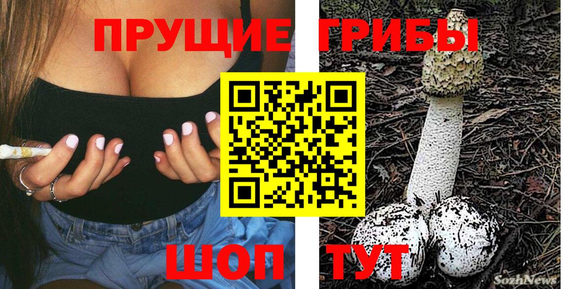 Назрань  Галлюциногенные грибы MAGIC MUSHROOMS  Вход с VPN 